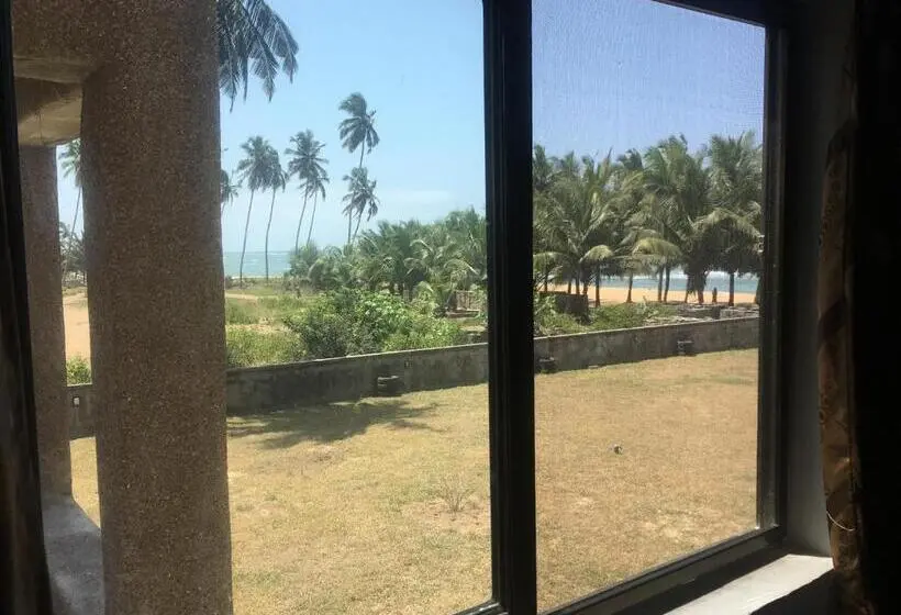 Suite Kingsize Bett, Afiki
