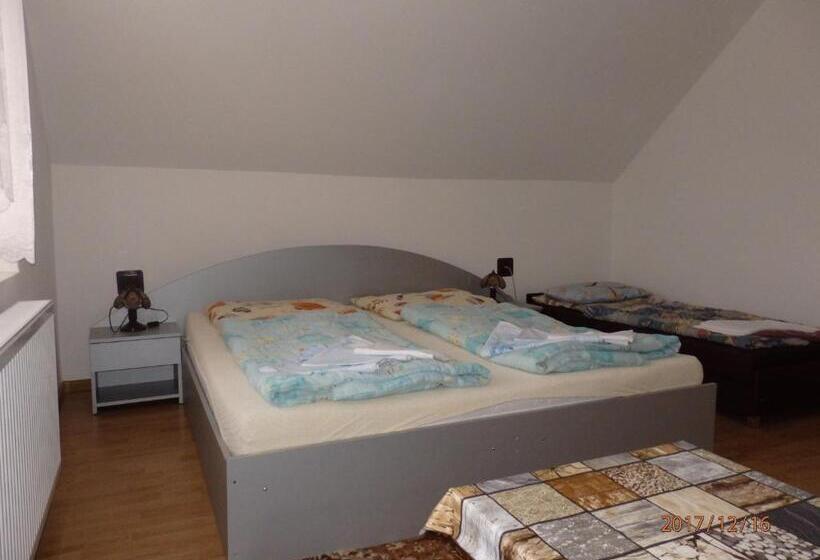 Трехместный Номер Стандарт Совместная Ванная, Ubytovanie Erika