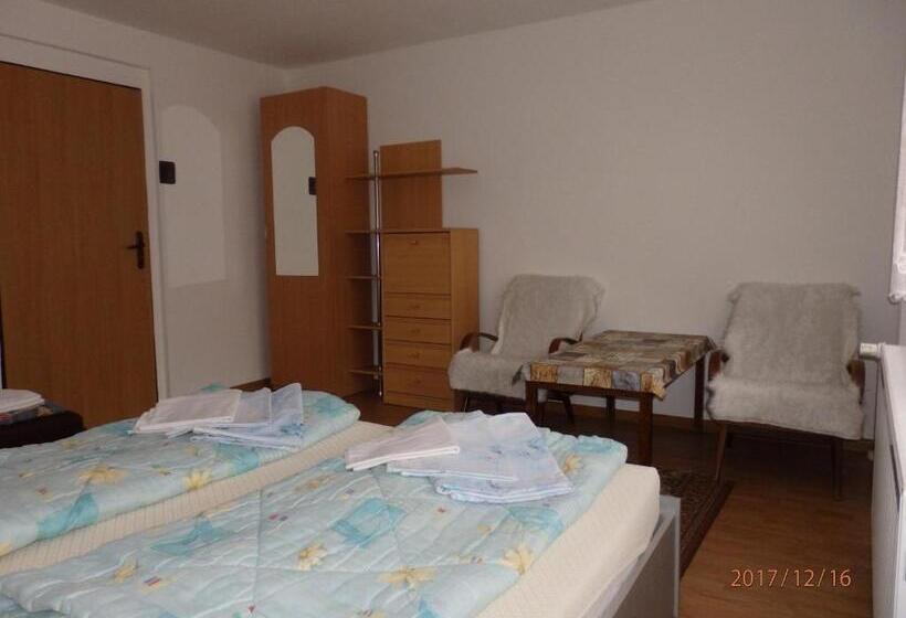 Трехместный Номер Стандарт Совместная Ванная, Ubytovanie Erika