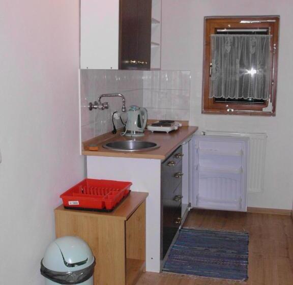 Студия Стандарт, Ubytovanie Erika