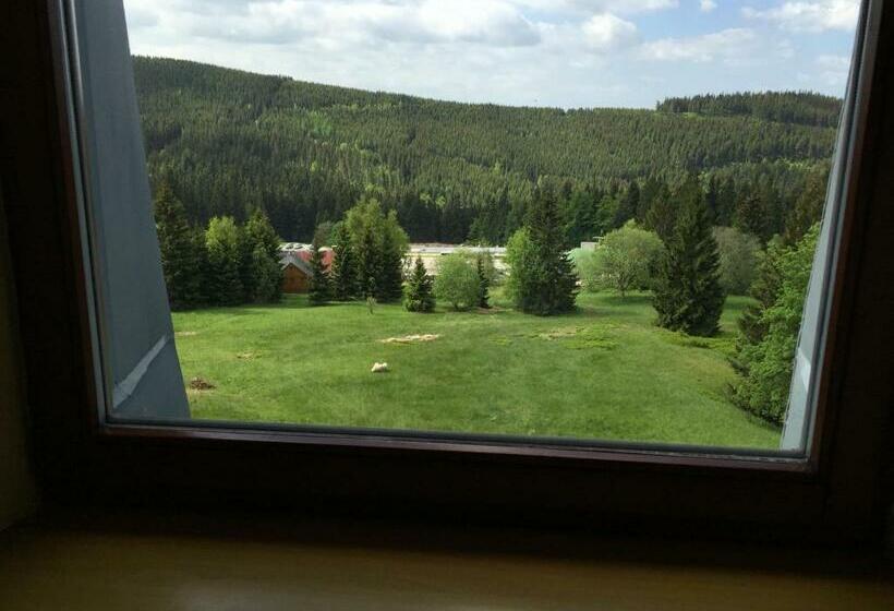 Номер Стандарт Трехместный, Pension Horske Zatisi