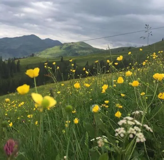 バルコニー付きスタンダードルーム, Berggasthof Schatzbergalm