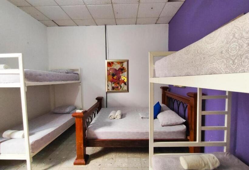 패밀리 룸, Las Catalinas Anton Panama