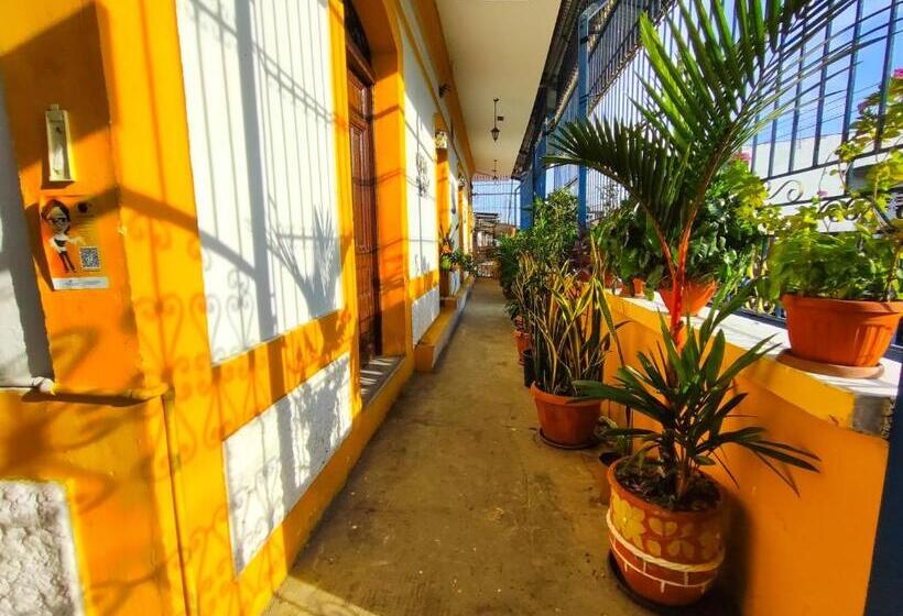 디럭스 패밀리 룸, Las Catalinas Anton Panama