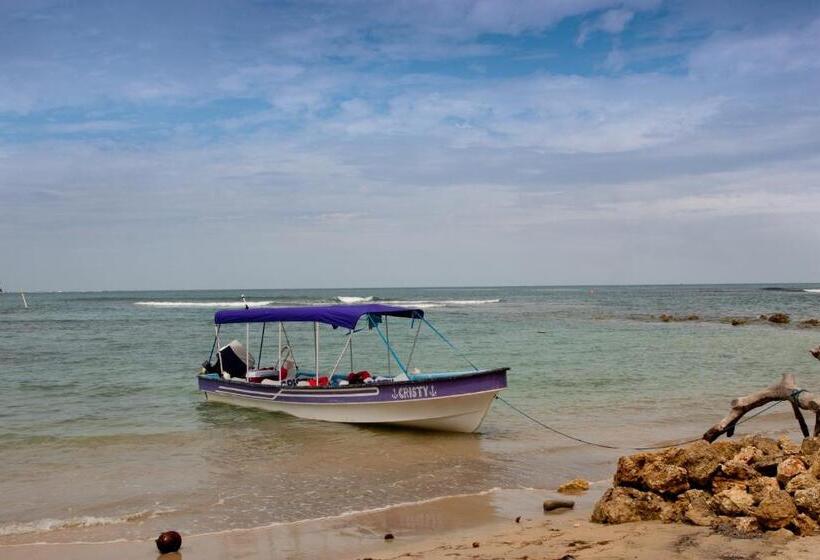 标准三人间, Hospedaje Yarisnori