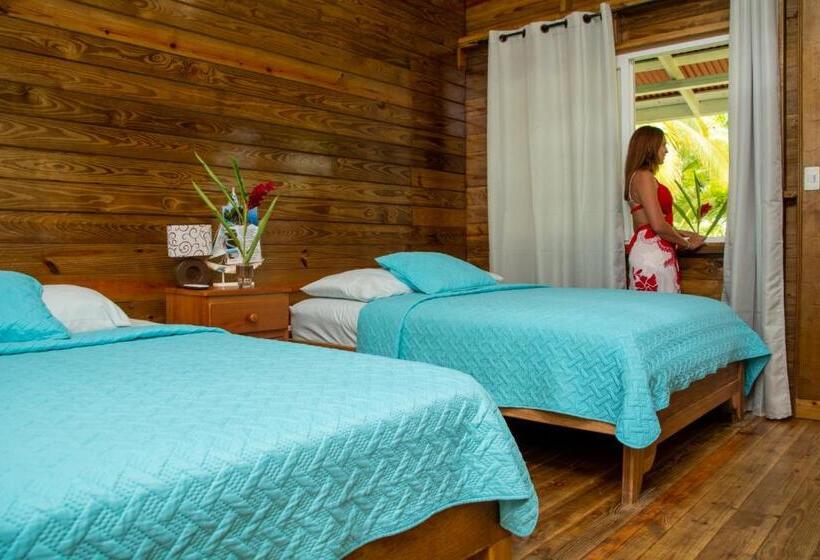 四人标准间, Hospedaje Yarisnori