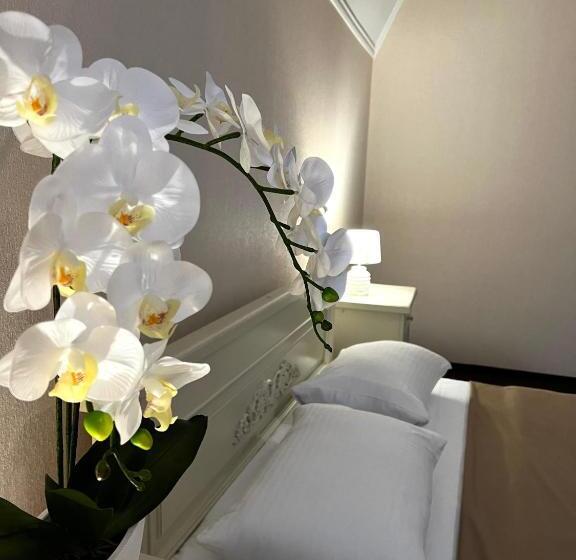 جناح, New Continent