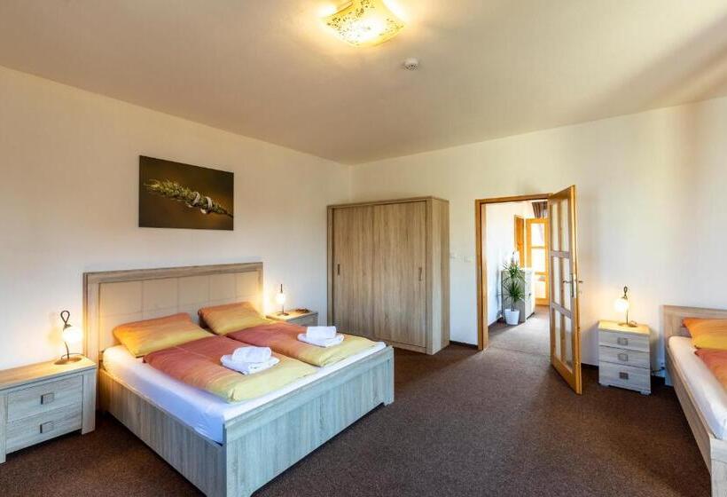 가든 전망 스위트, Zámecký Dvůr černousy