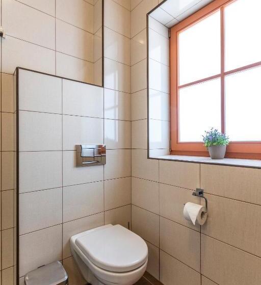 스탠다드 룸, Zámecký Dvůr černousy