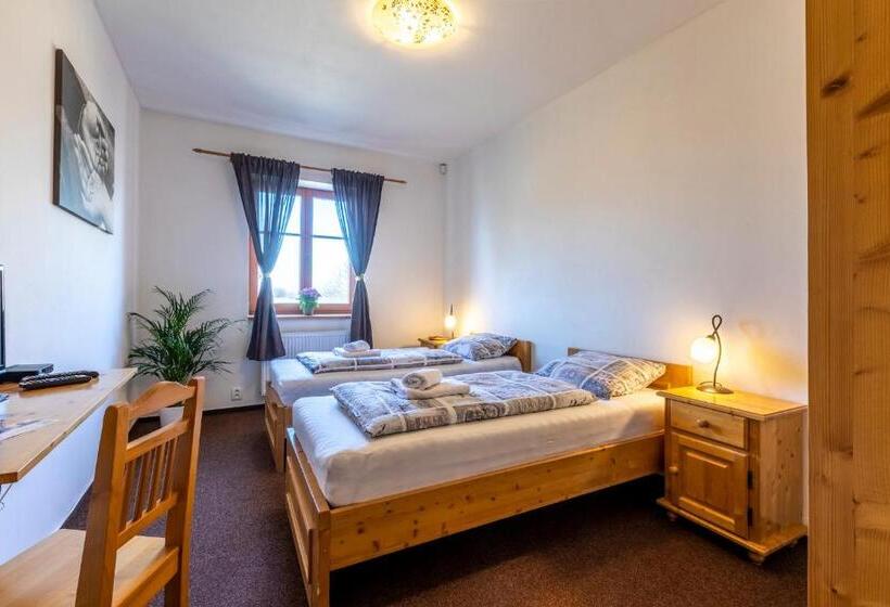 스탠다드 룸, Zámecký Dvůr černousy