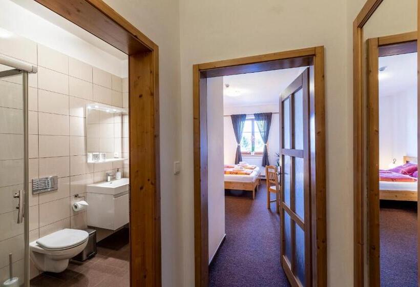 스탠다드 룸, Zámecký Dvůr černousy