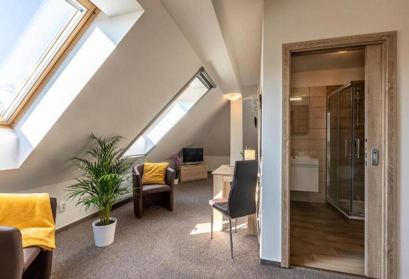 4인용 스탠다드 룸, Zámecký Dvůr černousy