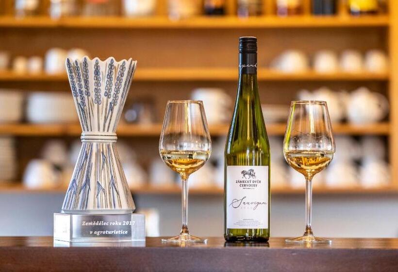 4인용 스탠다드 룸, Zámecký Dvůr černousy