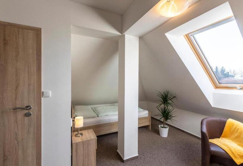 컴포트 트리플 룸, Zámecký Dvůr černousy