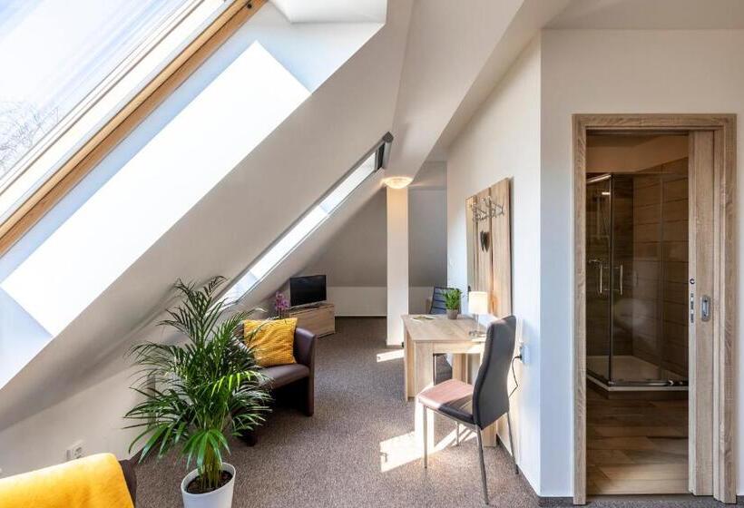 컴포트 트리플 룸, Zámecký Dvůr černousy