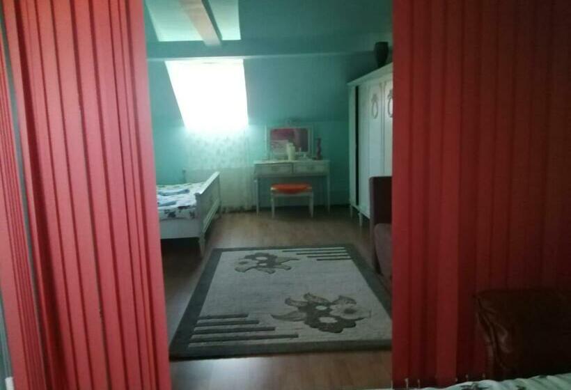 غرفة عائلية, Pensiunea Daiadela