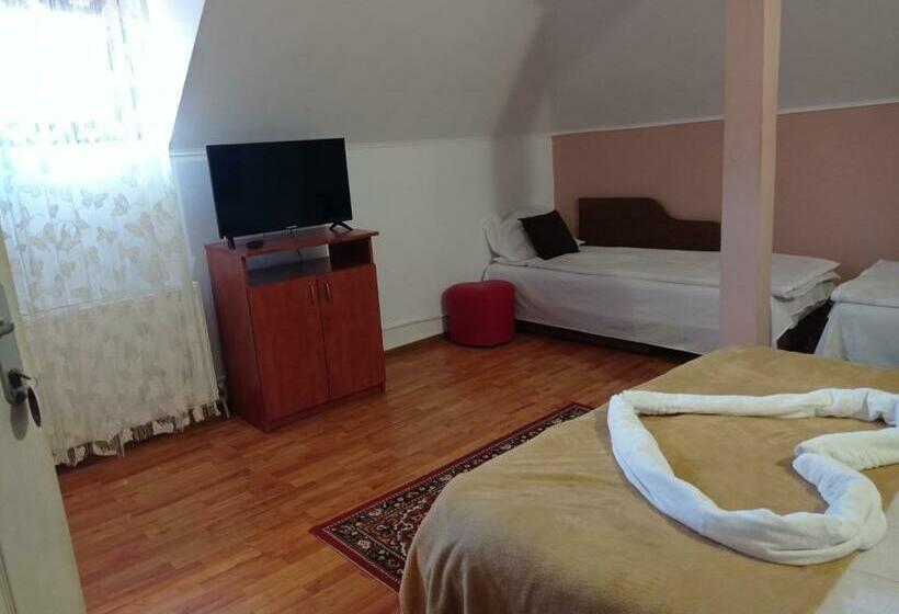 غرفة قياسية رباعية, Pensiunea Daiadela