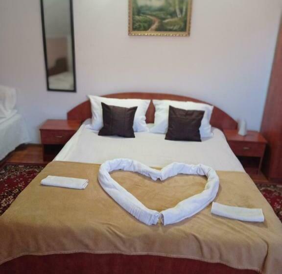 غرفة قياسية, Pensiunea Daiadela