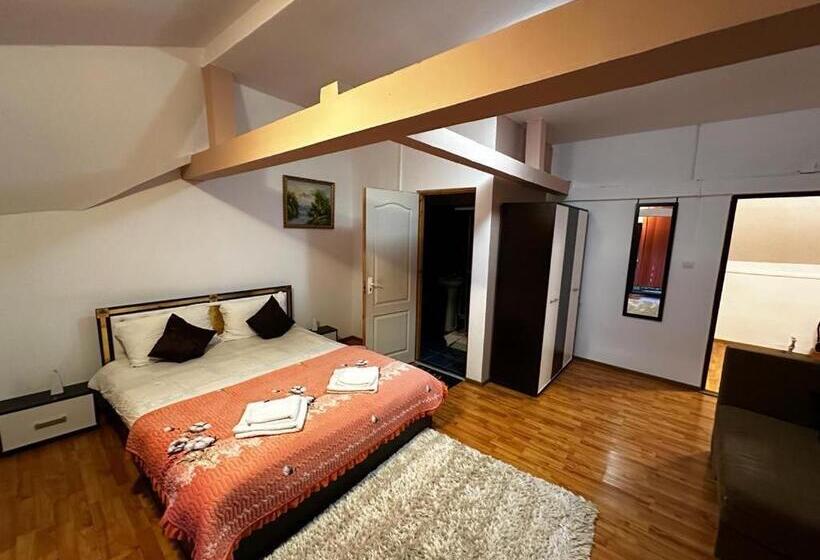 غرفة قياسية, Pensiunea Daiadela