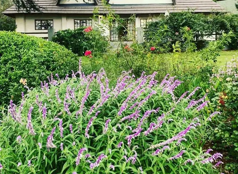 キャビン, Beverley Country Cottages