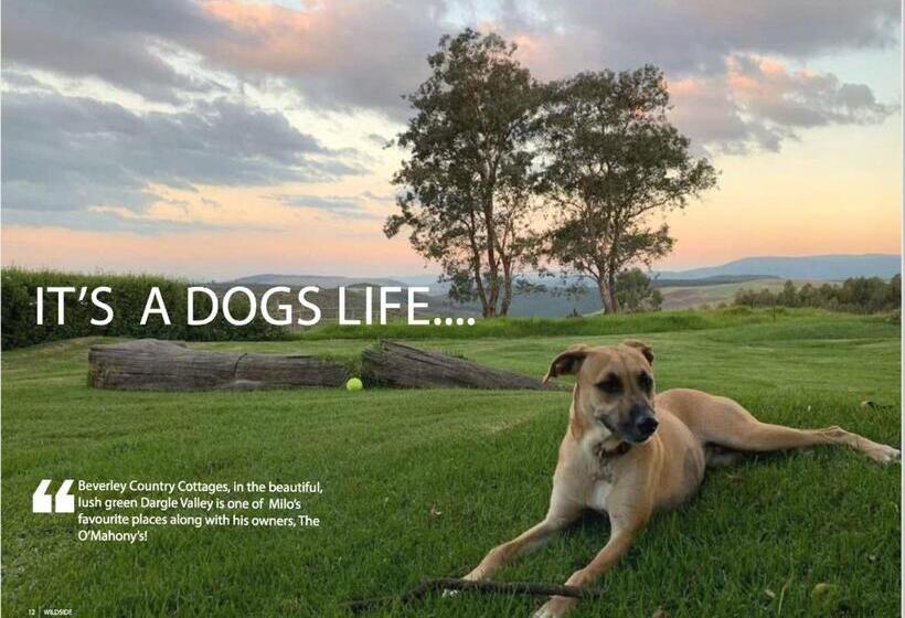 בית, 2 חדרי שינה, Beverley Country Cottages