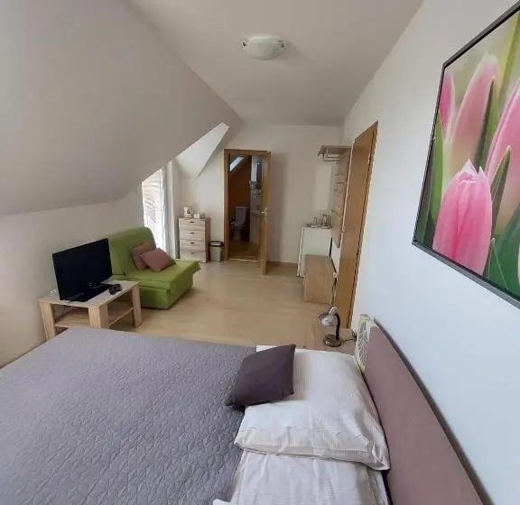 Comfort room with balcony, Penzión Skalná Ruža   Kövirózsa Panzió