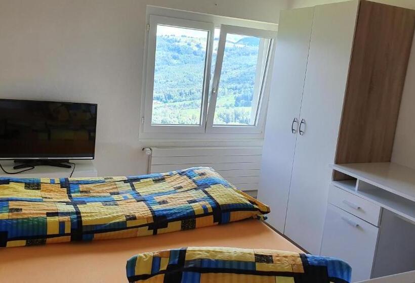 Одноместный Номер Basic, Landgasthof Hölzlisberg