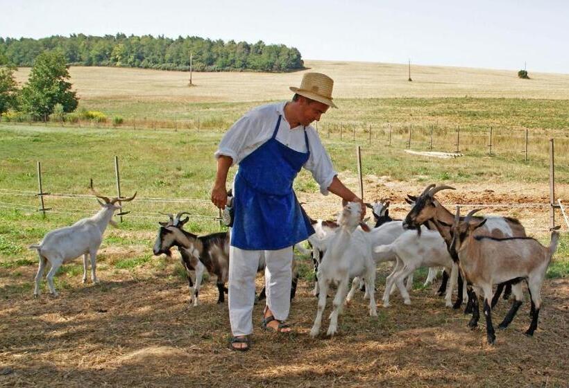 בית, חדר שינה 1, Erdősmecskei Sváb Vendégházak és Jurtaszállás