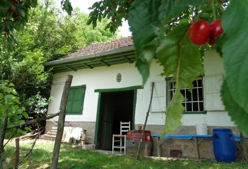 בית, חדר שינה 1, Erdősmecskei Sváb Vendégházak és Jurtaszállás