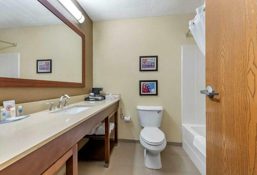 Номер Стандарт 2 Двуспальные Кровати, Comfort Inn & Suites Cincinnati Eastgate