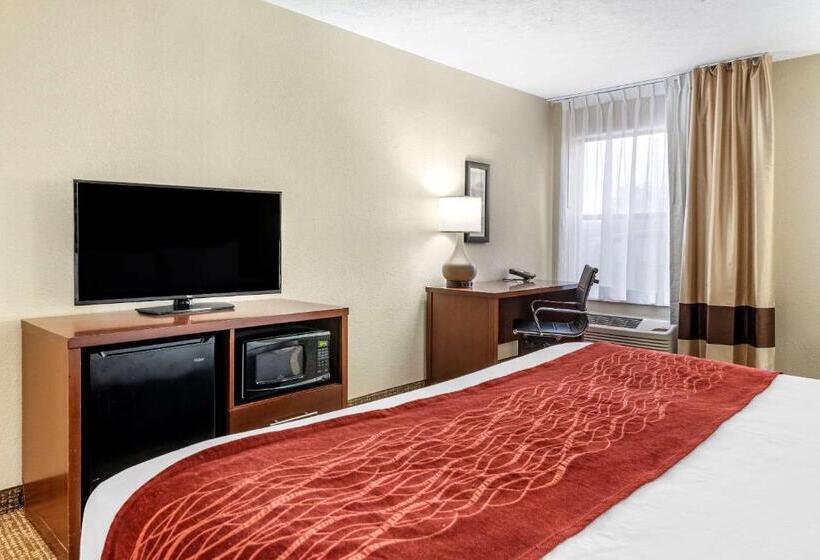 Люкс Кровать Кинг, Comfort Inn & Suites Cincinnati Eastgate