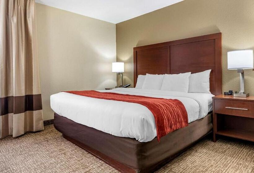 جناح سرير كينج, Comfort Inn & Suites Cincinnati Eastgate