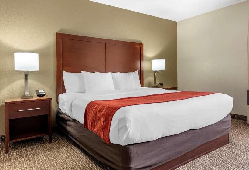 غرفة قياسية سرير كينج, Comfort Inn & Suites Cincinnati Eastgate