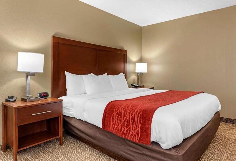 غرفة قياسية سرير كينج, Comfort Inn & Suites Cincinnati Eastgate