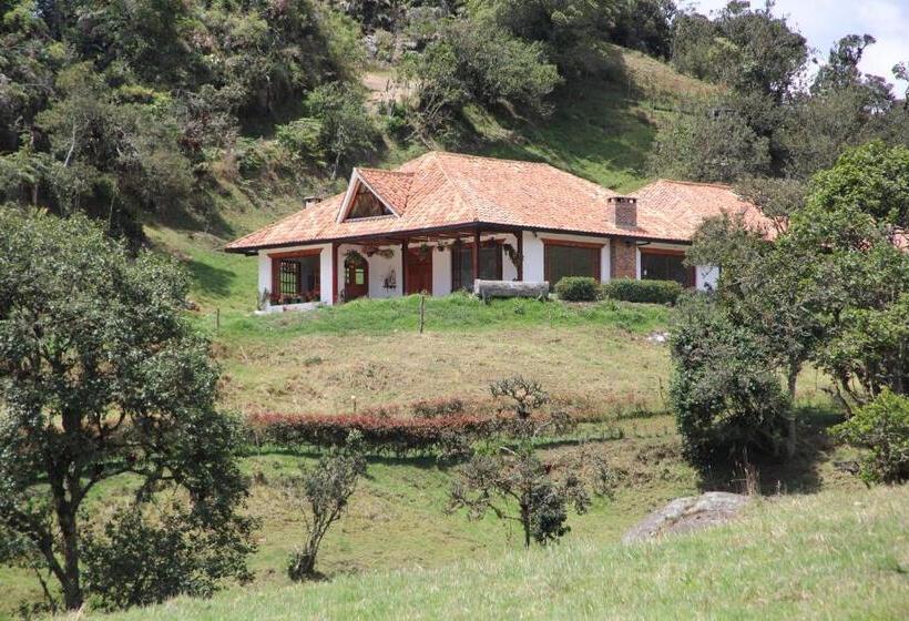 חדר משפחתי, Villa Del Moján