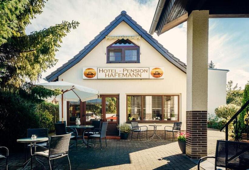 غرفة فردية  مطلة على الحديقة, Pension Hafemann
