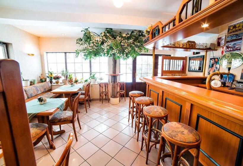 غرفة قياسية فردية, Pension Hafemann