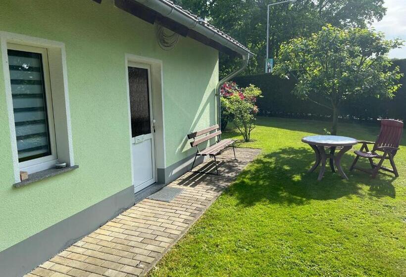 بنجلو قياسى, Pension Hafemann