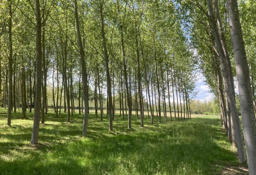 １ベッドルームアパートメント, Residence Campagnole