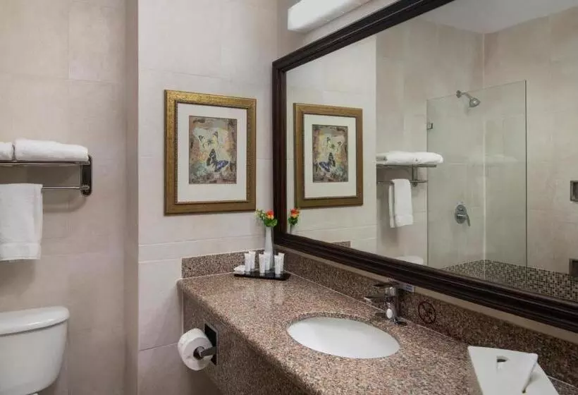 سوییت, Hodelpa Garden Suites - All Inclusive