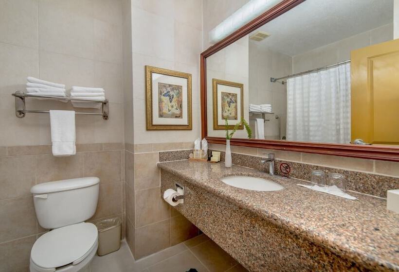 سوییت, Hodelpa Garden Suites   All Inclusive