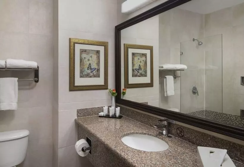 سوئیت رویال, Hodelpa Garden Suites - All Inclusive