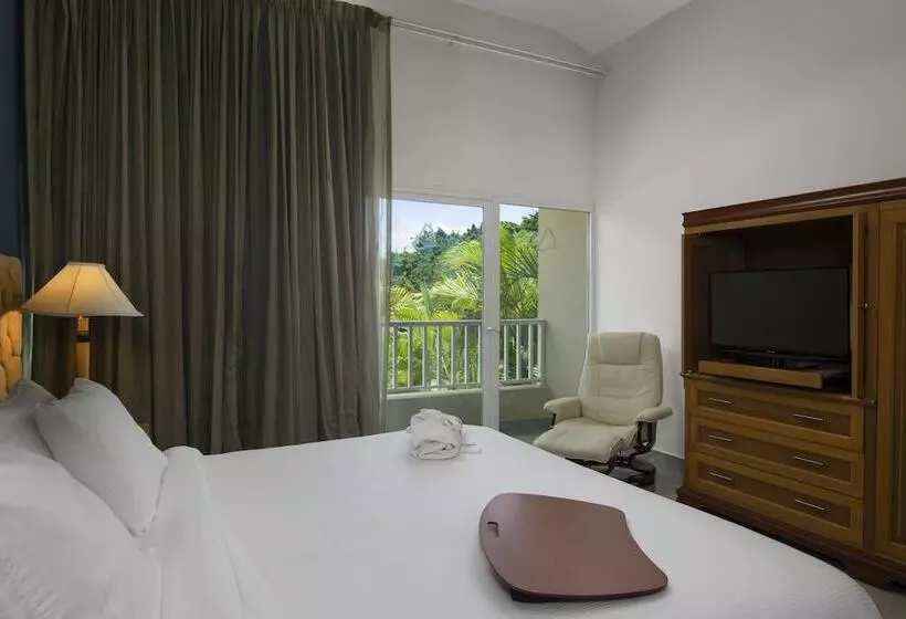 سوئیت رویال, Hodelpa Garden Suites - All Inclusive