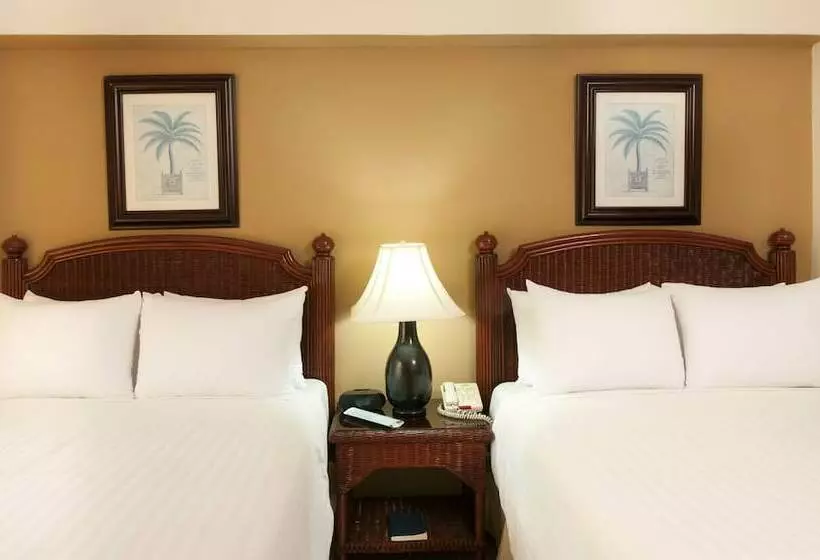 اتاق استاندارد, Occidental Caribe  All Inclusive