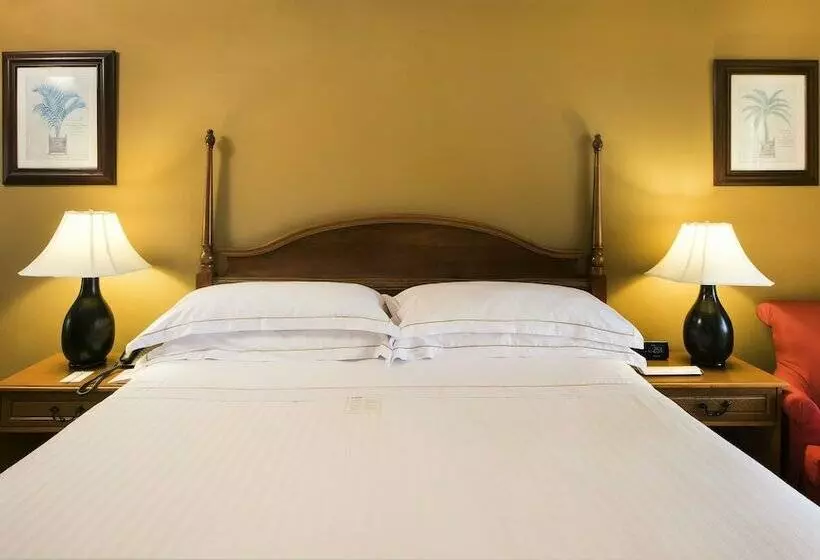 اتاق استاندارد, Occidental Caribe  All Inclusive