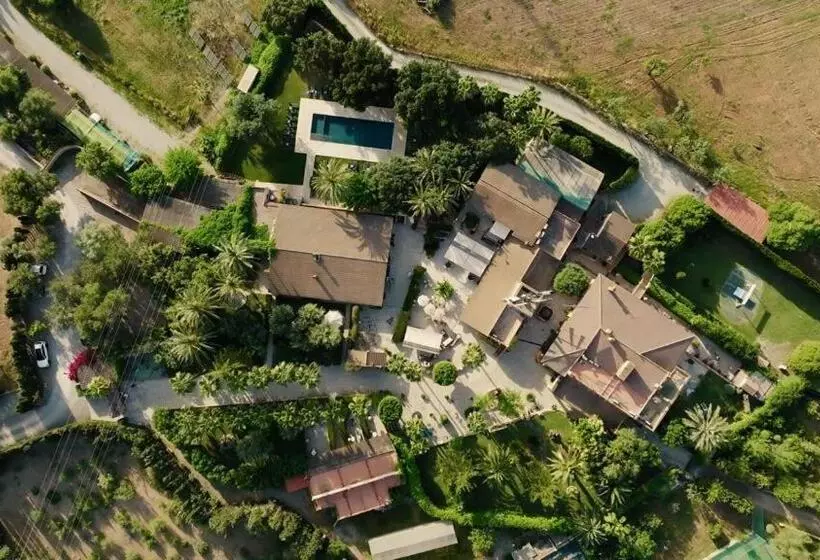 اتاق لوکس, Son Molí Country House