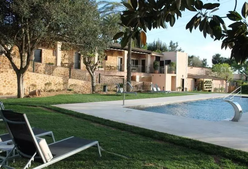 اتاق استاندارد با تخت بزرگ, Son Molí Country House