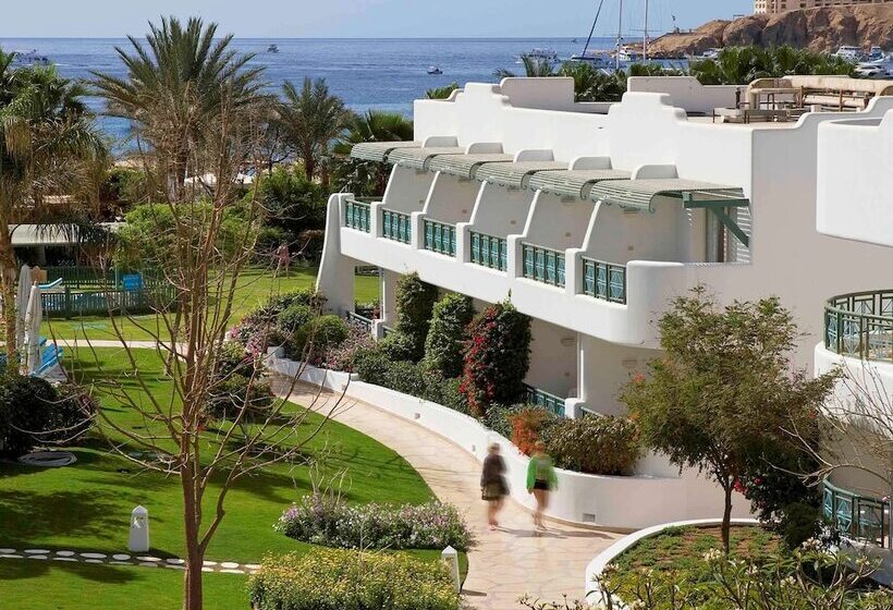 اتاق سوپریور, Novotel Sharm El Sheikh