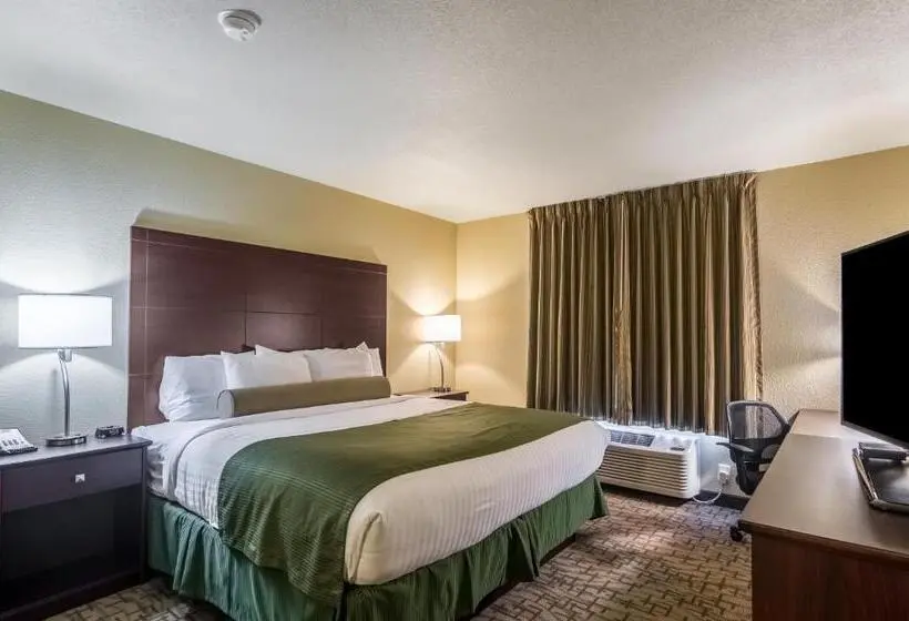 キングサイズベッドのデラックスルーム, Cobblestone Inn & Suites  Lakin