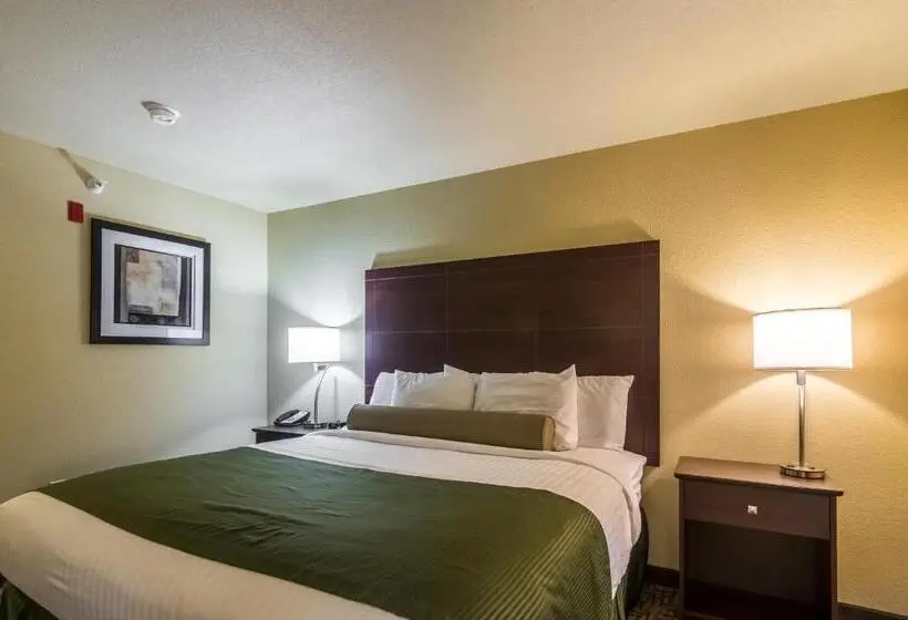 キングサイズベッドのデラックスルーム, Cobblestone Inn & Suites  Lakin
